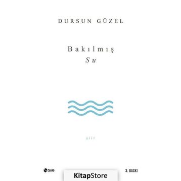 BAKILMIŞ SU - DURSUN GÜZEL