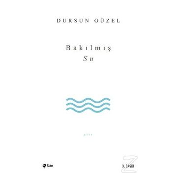 BAKILMIŞ SU - DURSUN GÜZEL