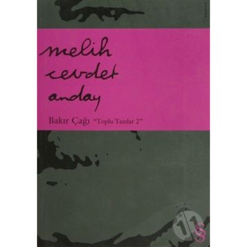BAKIR ÇAĞI TOPLU YAZILAR 2 - MELIH CEVDET ANDAY