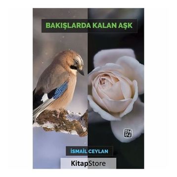 Bakışlarda Kalan Aşk - İsmail Ceylan