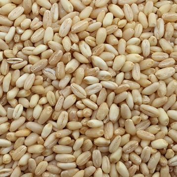 Bakliyat 1 kg Yarma Buğday
