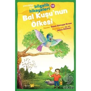 Bal Kuşu'nun Öfkesi - İhsan Süreyya Sırma