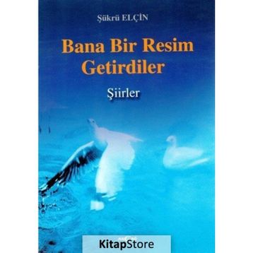 Bana Bir Resim Getirdiler - Şükrü Elçin