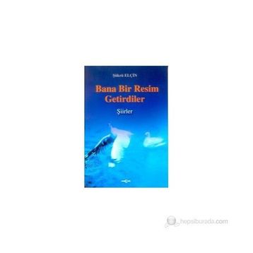 Bana Bir Resim Getirdiler - Şükrü Elçin