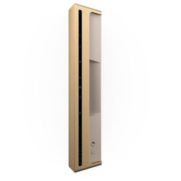Bang & Olufsen Beosound Level Altın-Meşe Ağacı Taşınabilir Multiroom Kablosuz Hoparlör