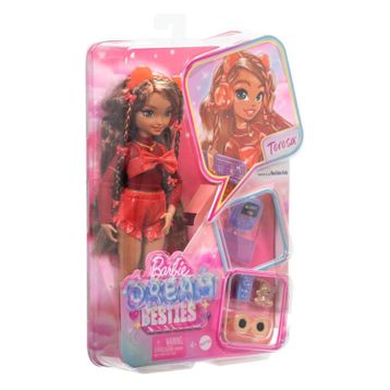 Barbie HYC23 Dream Besties Teresa Aksesuarlı Bebek