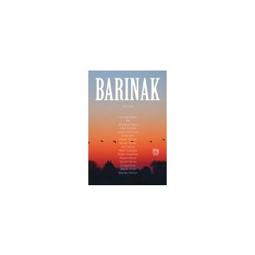 Barınak - Nazım Köyce