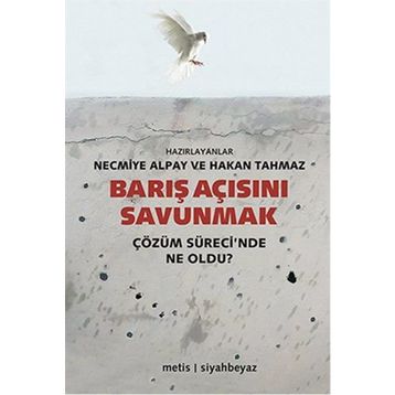 Barış Açısını Savunmak - Necmiye Alpay
