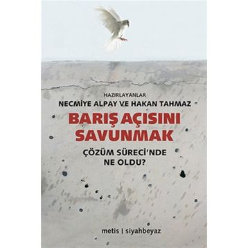 Barış Açısını Savunmak - Necmiye Alpay