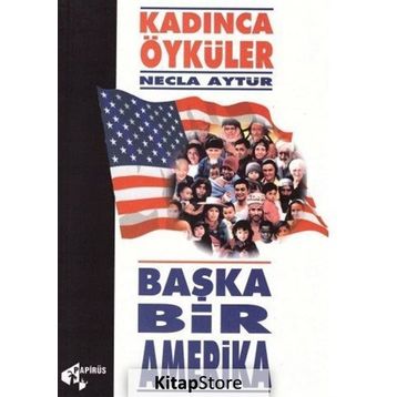 Başka Bir Amerika - Necla Aytür