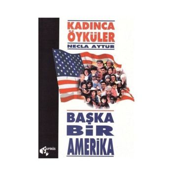 Başka Bir Amerika - Necla Aytür