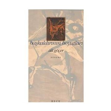 BAŞKALDIRININ BOYUTLARI - ALI GÖÇER