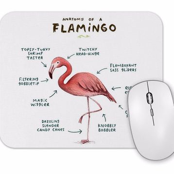 Baskı Dükkanı Bir Flamingo Anatomisi 2 Mouse Pad