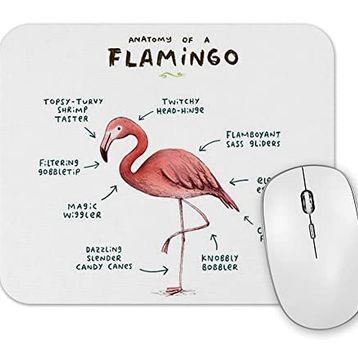 Baskı Dükkanı Bir Flamingo Anatomisi 2 Mouse Pad