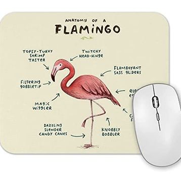 Baskı Dükkanı Bir Flamingo Anatomisi Mouse Pad