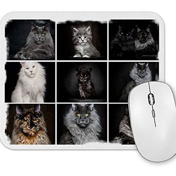 Baskı Dükkanı Cats Collection One Mouse Pad