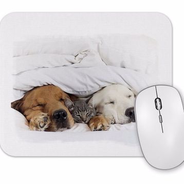 Baskı Dükkanı Cats Collection Three Mouse Pad