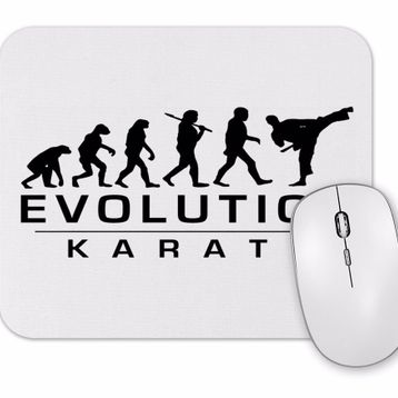 Baskı Dükkanı Karate Evolution Mouse Pad