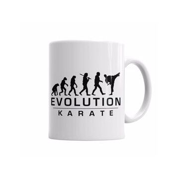 Baskı Dükkanı KB6221 Karate Evolution Porselen Kupa Bardak