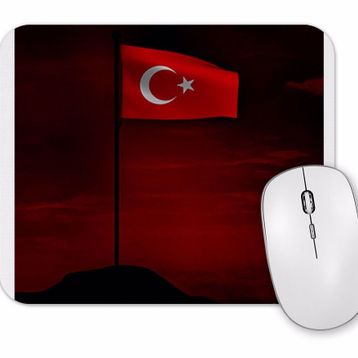 Baskı Dükkanı Renkli Baykuş Mouse Pad