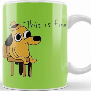 Baskı Dükkanı This Is Fine Dude Kupa