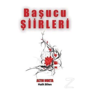 Başucu Şiirleri - Haşim Alış