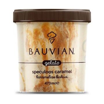Bauvıan 473 ml Karamelize Bisküvili Dondurma