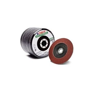 Bay-Tec Flap Disk 10'lu Zımpara