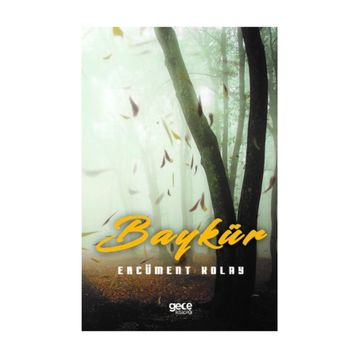 Baykür - Ercüment Kolay