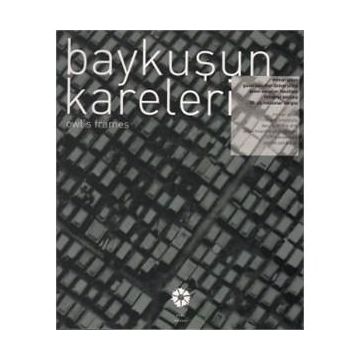 Baykuşun Kareleri - kollektif