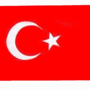 Bayrakçı 70x105 cm Türk Bayrağı