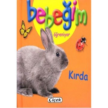Bebeğim Öğreniyor - Kırda - kollektif