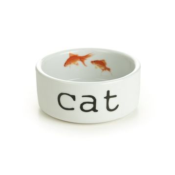 Beeztees 11.5 cm 300 ml Beyaz Seramik Kedi Mama ve Su Kabı