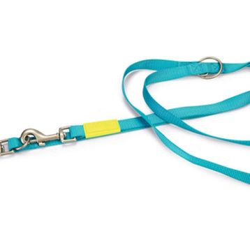 Beeztees 200 cm 20 mm Turkuaz Köpek Gezdirme Kayışı