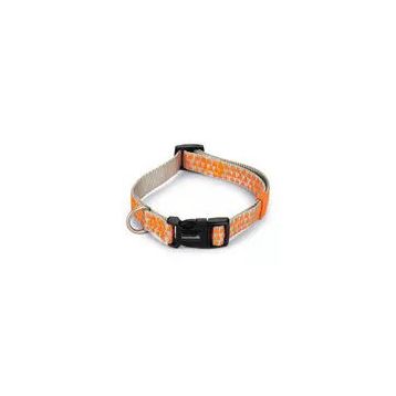 Beeztees Açık Gri Turuncu 35-50 cm Köpek Boyun Tasması