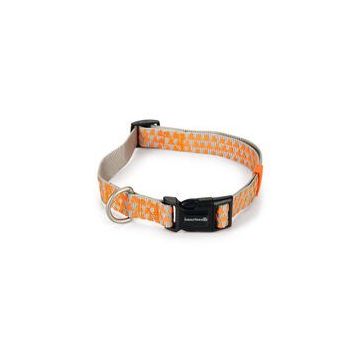 Beeztees Açık Gri Turuncu 48-70 cm Köpek Boyun Tasması