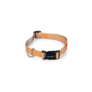 Beeztees Açık Gri Turuncu 48-70 cm Köpek Boyun Tasması