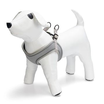 Beeztees Neopren Yeşil S 38-44 cm Köpek Göğüs Tasması