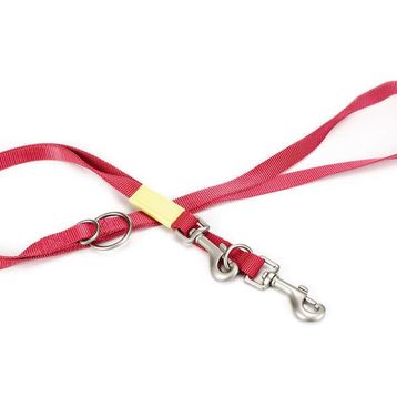 Beeztees Pembe 200 cm 20 mm Köpek Gezdirme Kayışı