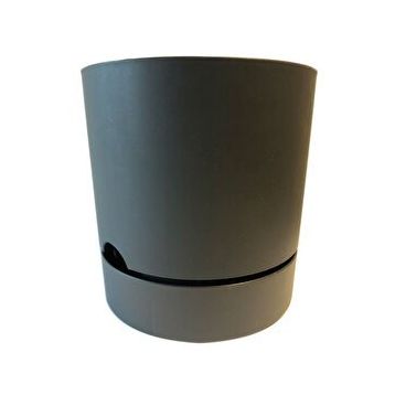 Begonya Antrasit 18 cm Saksı