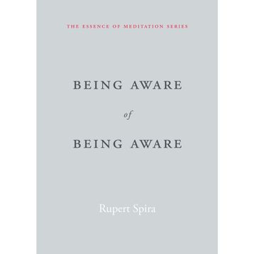 Being Aware of Being Aware: The Essence of Meditation Volume 1
