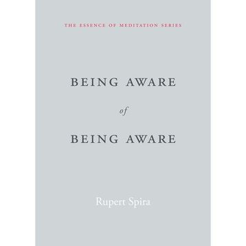 Being Aware of Being Aware: The Essence of Meditation Volume 1
