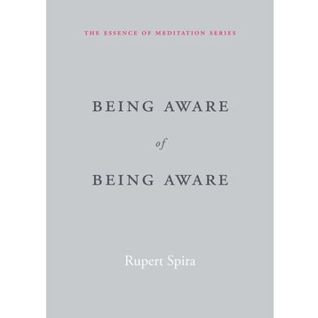 Being Aware of Being Aware: The Essence of Meditation Volume 1