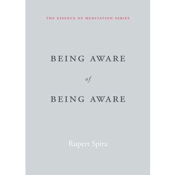 Being Aware of Being Aware: The Essence of Meditation Volume 1