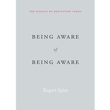 Being Aware of Being Aware: The Essence of Meditation Volume 1