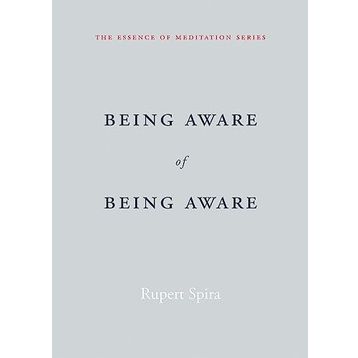 Being Aware of Being Aware: The Essence of Meditation Volume 1
