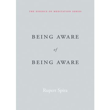 Being Aware of Being Aware: The Essence of Meditation Volume 1