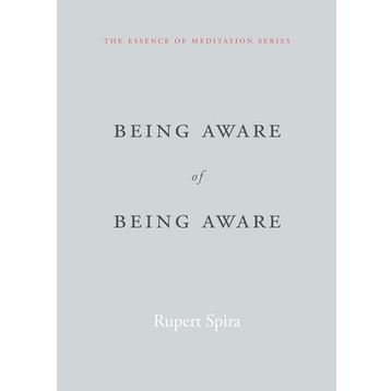 Being Aware of Being Aware: The Essence of Meditation Volume 1