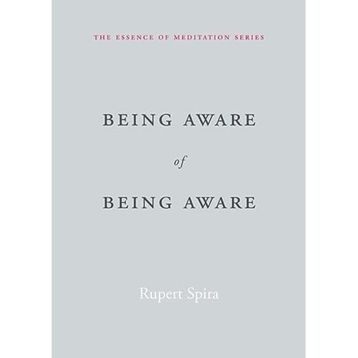 Being Aware of Being Aware: The Essence of Meditation Volume 1