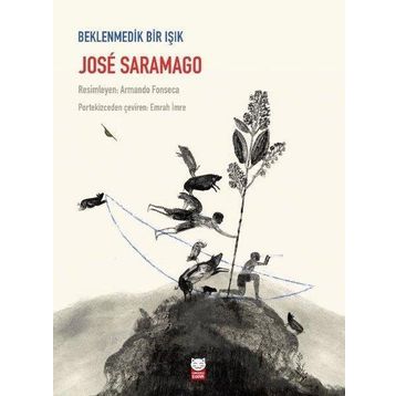 Beklenmedik Bir Işık - Jose Saramago